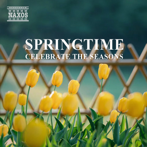 成人黄色免费电影
